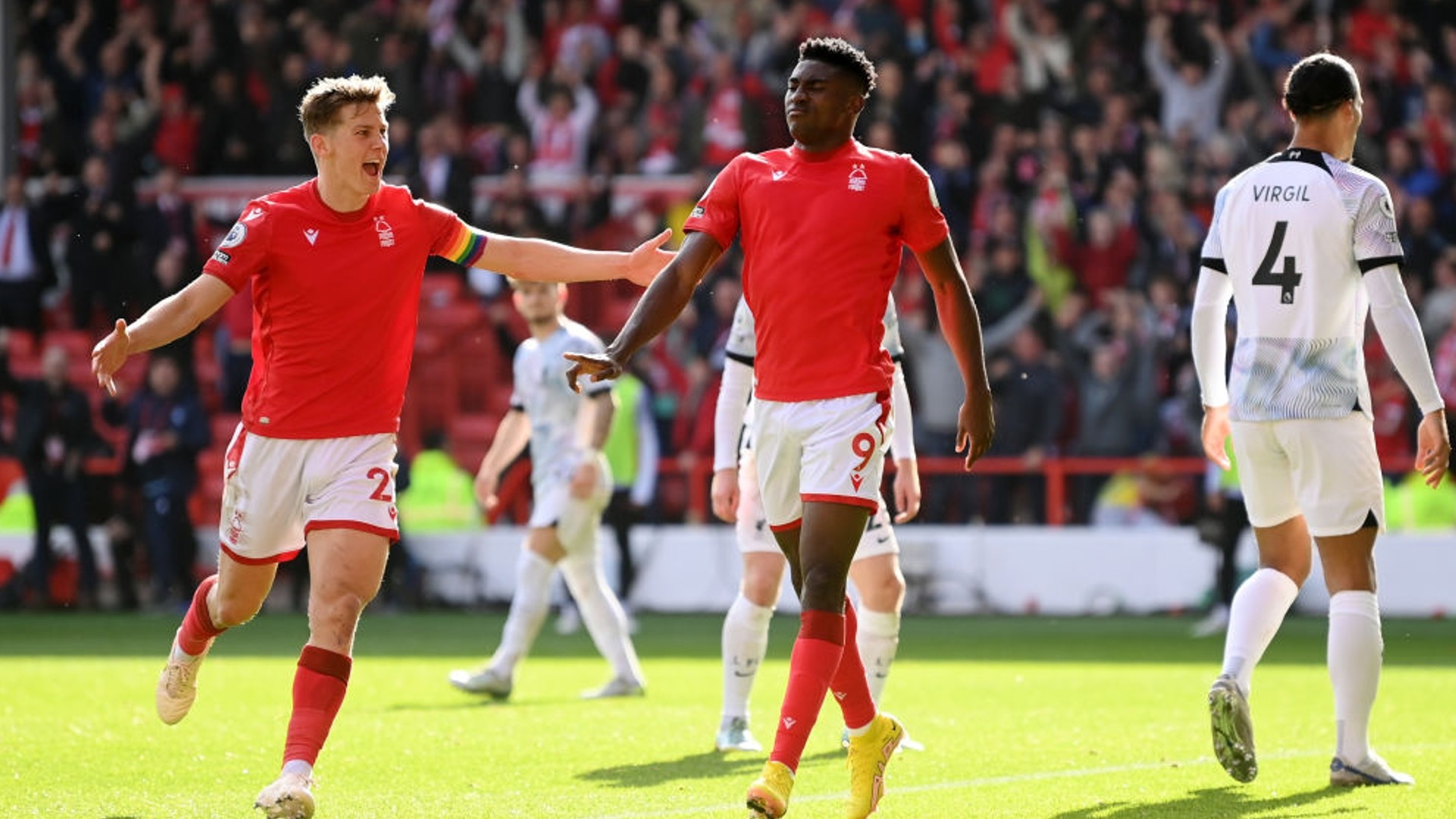 不同水平的 不同水平的