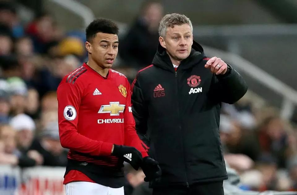 田和翠绿的 田和翠绿的